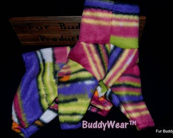 12.5" Ready to Ship BuddyWear fleece outfit for Italian Greyhounds, Hairless Terriers, Cresteds and all small dogs