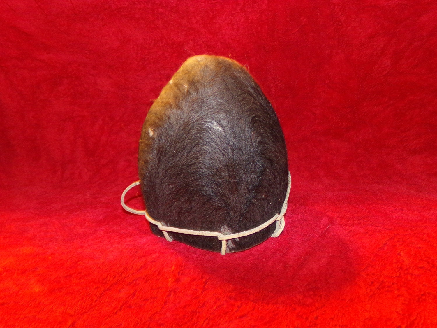 1 Bull Scrotum Bag real animal fur nut sack part purse man cave gag ...