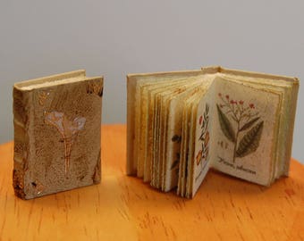1/12 Witch book Curious Herbal