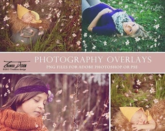 ON SALE Spring Petals Photo Overlays, Bloom Photography Overlays, INSTANT Download