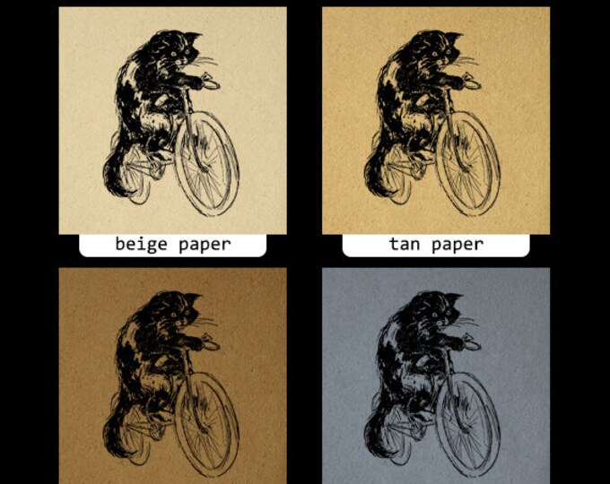 Printable Image Cat Riding Bicycle Digital Download Graphic Antique Clip Art Jpg Png Eps HQ 300dpi No.1851