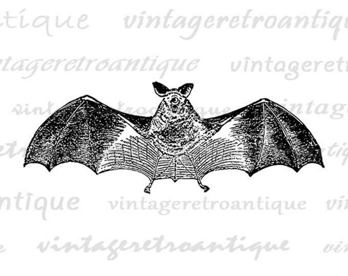 Bat Graphic Image Download Antique Bat Artwork Digital Printable Vintage Clip Art Jpg Png Eps HQ 300dpi No.3894