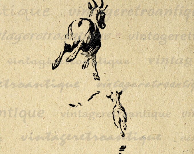 Two Goats Image Printable Download Cute Graphic Animal Digital Vintage Clip Art for Transfers Making Prints etc HQ 300dpi No.916