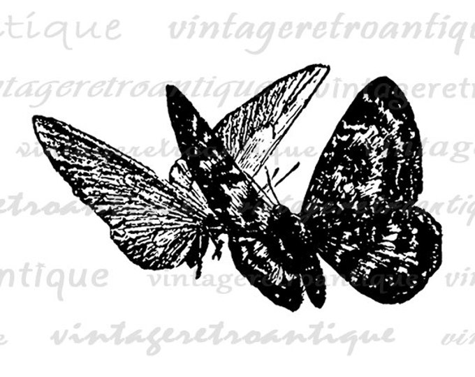 Printable Butterflies Antique Digital Download Graphic Image Illustration Vintage Clip Art Jpg Png Eps HQ 300dpi No.2388