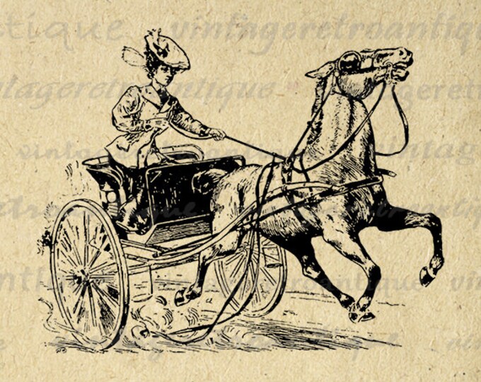 Printable Graphic Woman Riding Horse Carriage Image Old Fashioned Digital Download Jpg Png Eps HQ 300dpi No.1740