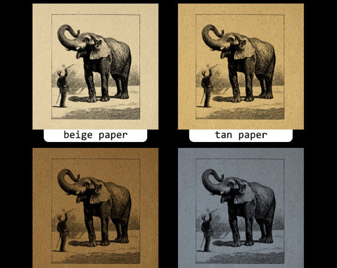 Digital Elephant Graphic Image Antique Download Printable Vintage Clip Art Jpg Png Eps HQ 300dpi No.772