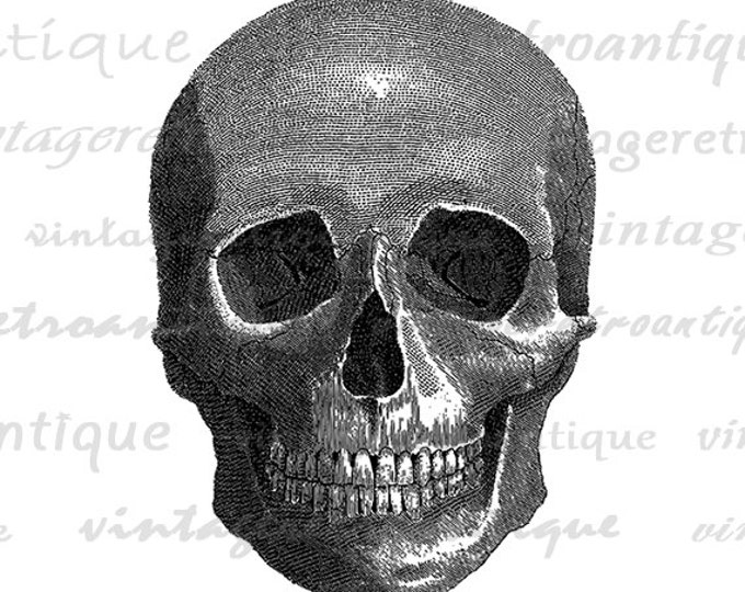 Skull Digital Graphic Download Image Illustration Printable Artwork Jpg Png Eps HQ 300dpi No.2145