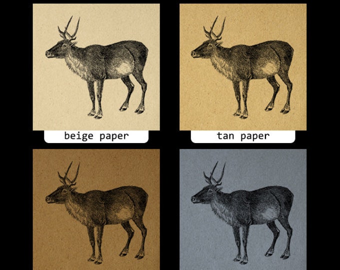 Printable Graphic Caribou Download Image Illustration Digital Artwork Vintage Clip Art Jpg Png Eps HQ 300dpi No.2132