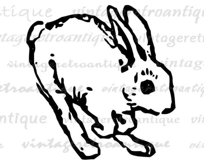 Rabbit Graphic Digital Download Bunny Image Nursery Jumping Rabbit Printable for Transfers Pillows Tea Towels etc HQ 300dpi No.4622