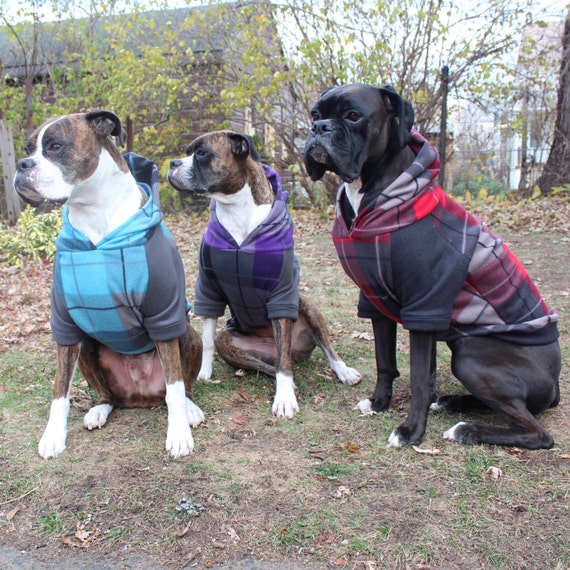 Matching Dog Hoodie Large Dog Sweater Clothing by BullenbeisserDog