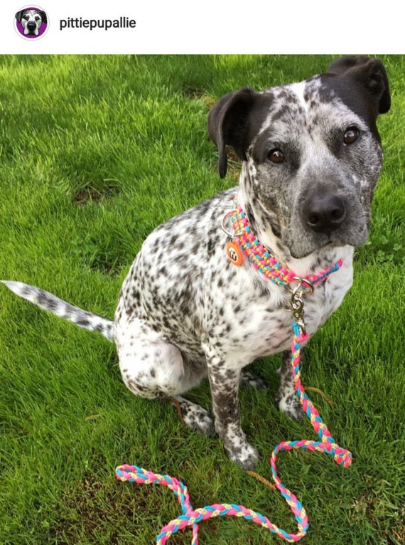 Martingale Dog Collar with Matching Braided Rope Leash Choose