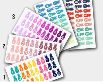 Date Cover Pineapple, Date Cover Planner Stickers, Date Cover, Planner Stickers, Stickers, Pineapple Stickers, Pineapple Planner, Tropical