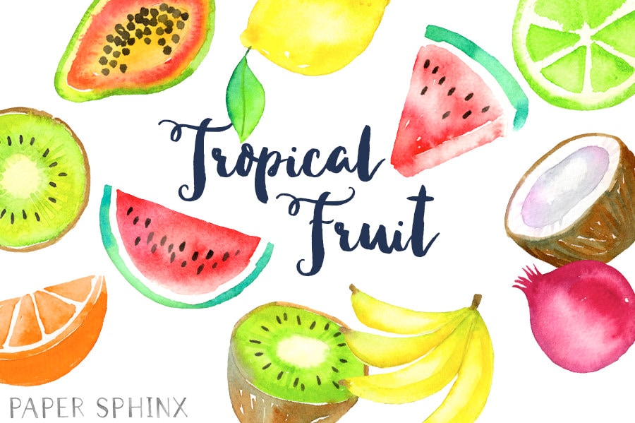 Watercolor Tropical Fruit Clipart Fruit Clip Art 
