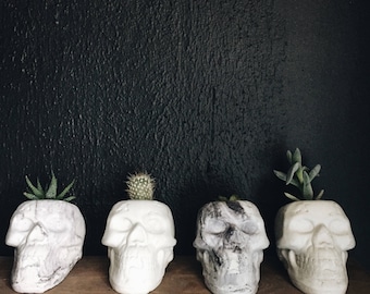 Cement Skull Planter, marble and off white