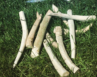 Antler Chew, Deer Antler,Dog Chew, Antler Dog Chew, Cut Antlers, Natural Dog Treats, Organic Dog Treats,Dog Gifts,Puppy Gifts,Dog Owner Gift