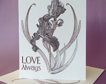 Always You by Nell Iris Always You by Nell Iris