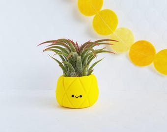 Pineapple Air Planter, Air Planter, Cute Planter, Planter, Air Plant Holder, Graduation Gift, Summer Decor, Best of Summer, Gift for Her