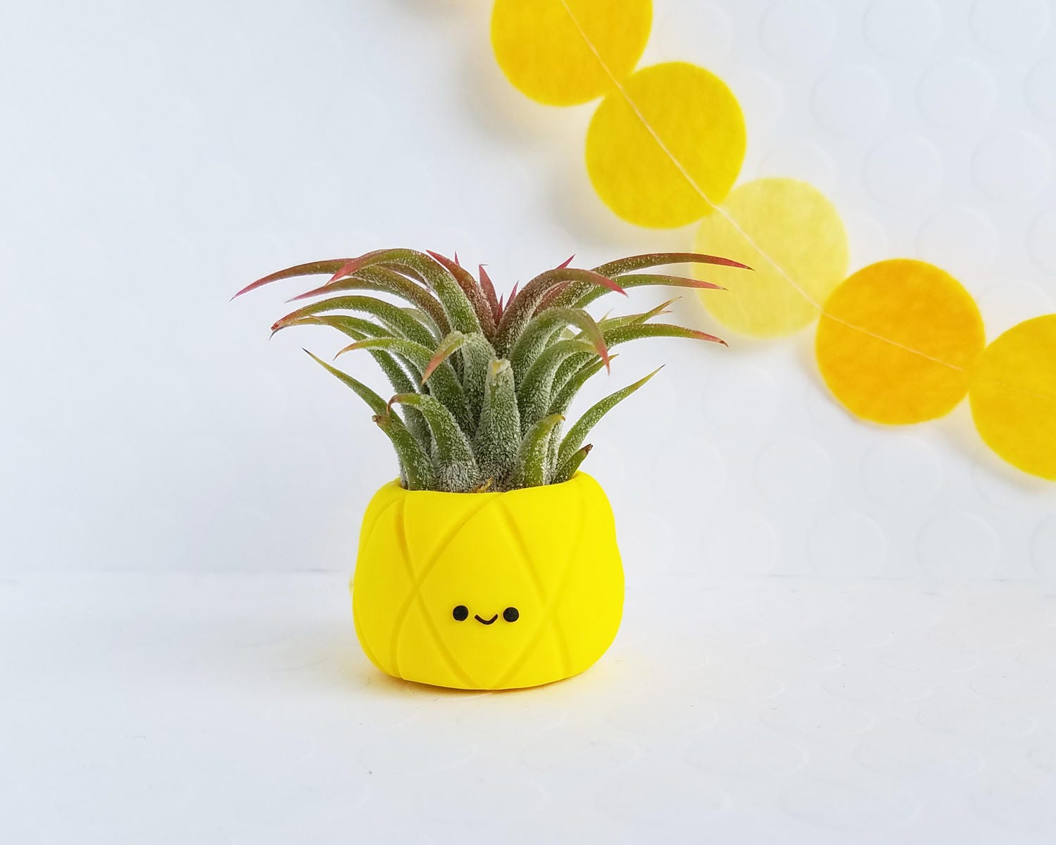 Pineapple Air Plant Holder Cute Planter Greenery Gift for Pineapple Air Plant Holder Cute Planter Greenery Gift for