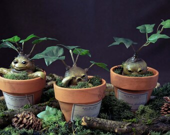 Mandrake inspired from the Harry Potter movies