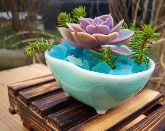 Succulent planter/wooden pallet/planter/succulent arrangement/succulent plant/porcelain planter/turquoise/indoor planter /cactus planter