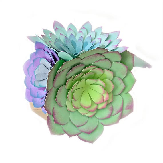 Succulent Planter, Succulent Plant, Geometric Planter, Faux Succulent, Paper Plant, Succulent Favor, Succulent Garden, Dessert Wedding Decor Il_570xn