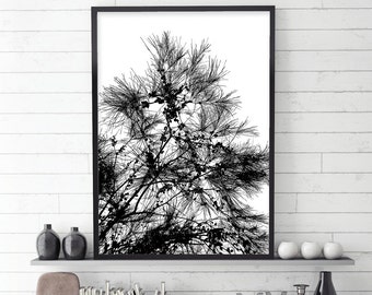 Black and White Botanical Art, Downloadable Print, Botanical Print, Trees, Black and White Art, Scandinavian, Scandi, Monochrome, Wall Art