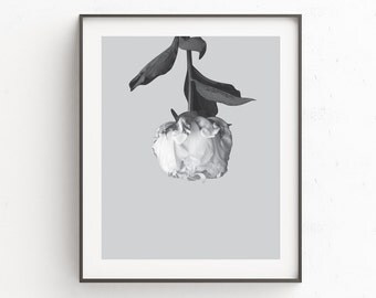 Peony Prints | Flower Art Printable | Botanical Prints