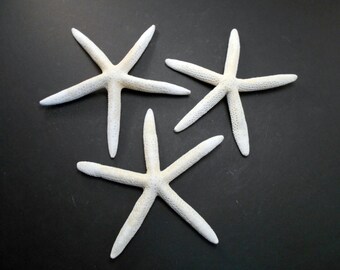 Set of 3 White Finger Starfish 8" - 10" Beach Weddings Crafts Coastal Decor Nautical