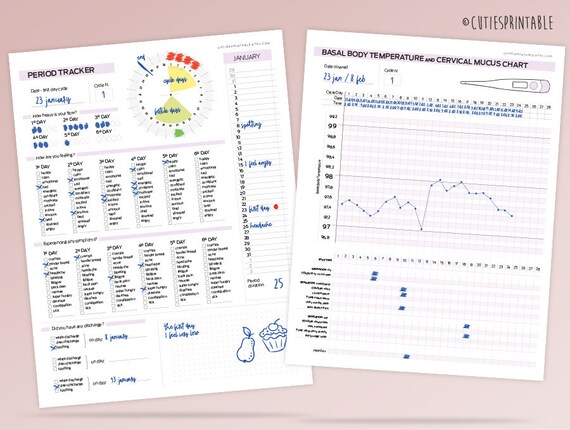 Period Tracker Month By Month Perpetual Basal Body