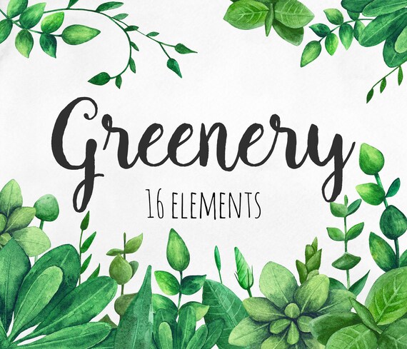 Greenery clip art Green watercolor Garden clipart Summer