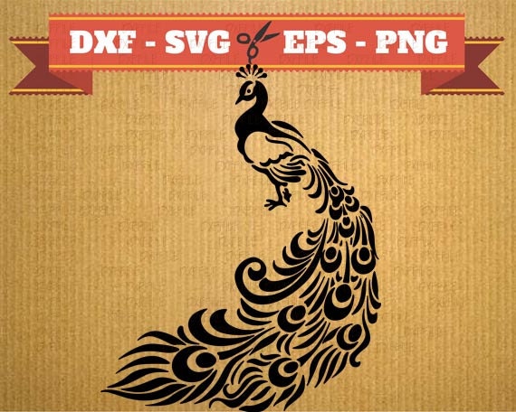 Peacock SVG file bird svg bird vector files for cricut