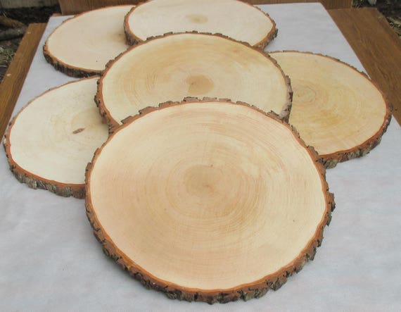 14 15 Large Alder Wood Slice Inch Slicelarge Slabwood PlatterRustic Wedding DecorCake StandWedding Centerpiece From 14 15 Large Alder Wood Slice Inch Slicelarge Slabwood PlatterRustic Wedding DecorCake StandWedding Centerpiece From