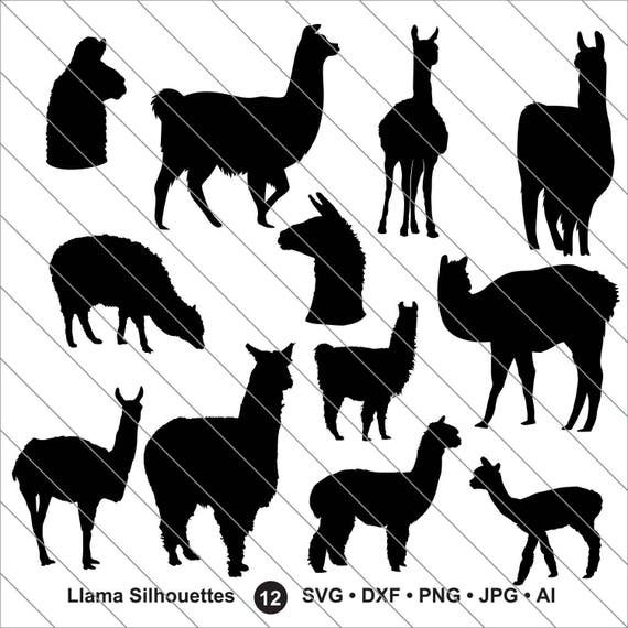 llama Silhouettes SVG bundle svg llama Clipartllama svg Cut