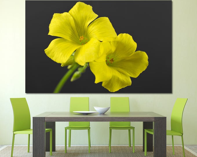 Large yellow orchid wall art flower print set of 3 or 5 panels, yellow orchid flower photography botanical art canvas home decoration poster