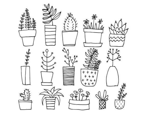 15 Lineart Doodles / PLANTS / Digital PNG Clipart Graphics