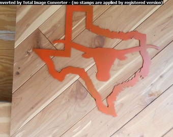 Texas Longhorn in Shape of Texas