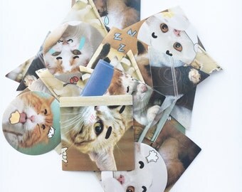 Cat with Eyebrows Label Stickers