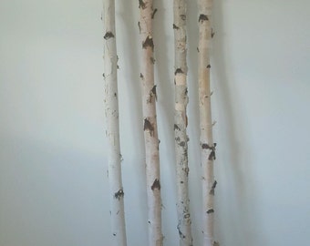 Birch Poles 