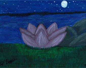 Waterlily in the Night