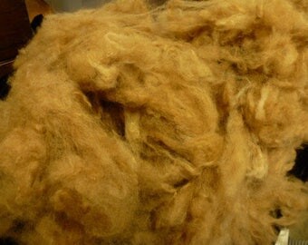 Fawn Alpaca Washed and Picked One Pound