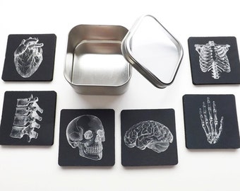 Doctor Medical School Graduation Gift Coaster goth future male nurse practitioner physician assistant anatomical heart skeleton med student