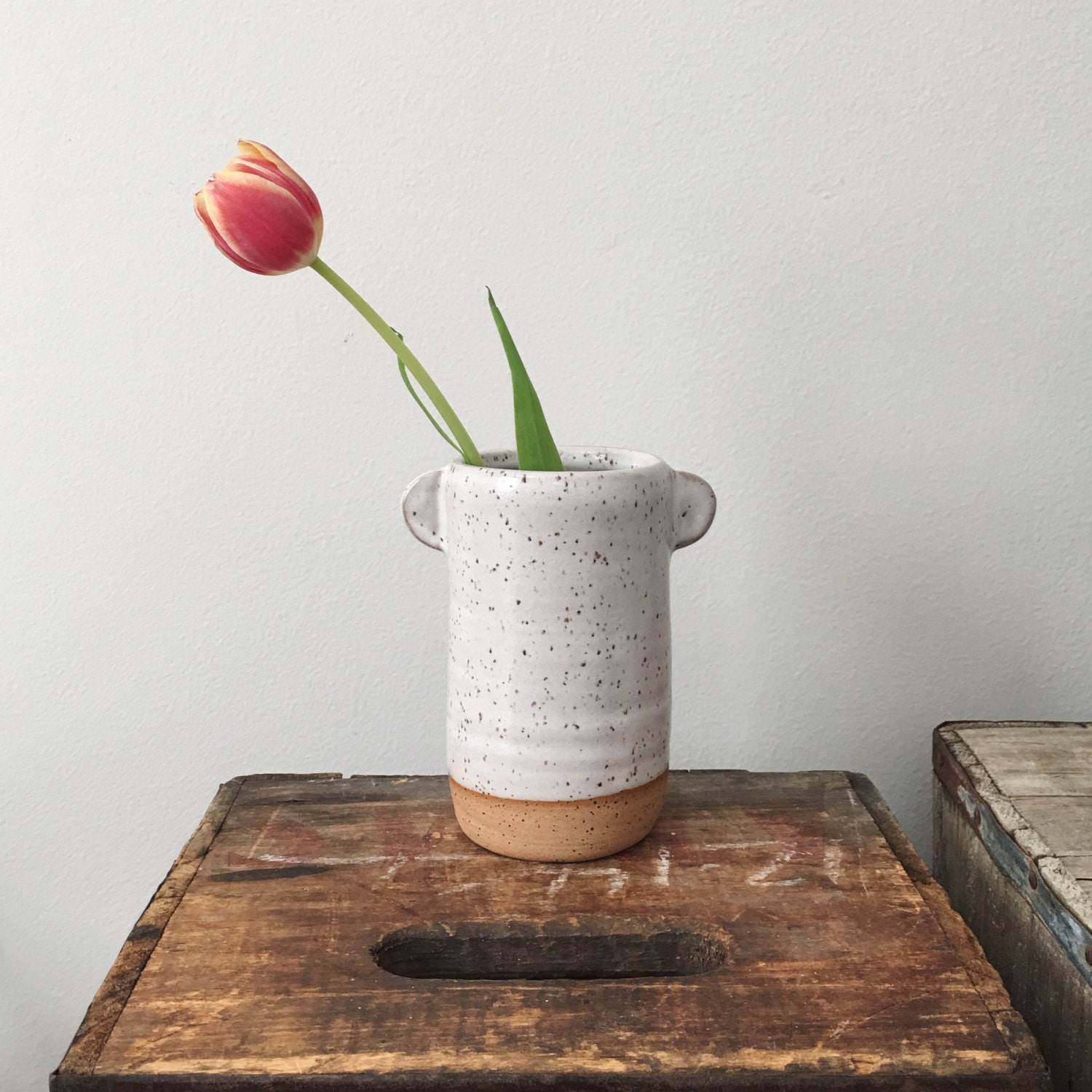 Good Listener Vase speckled ceramic vase with white glaze
