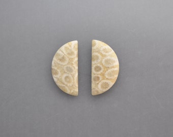 Agatized Coral Cabochon Pair