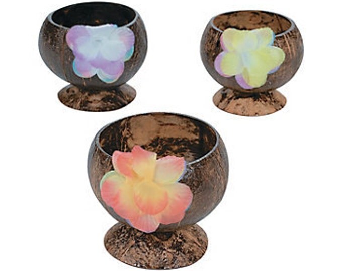 Natural Coconut Cup with Decoration - SALE PRICE