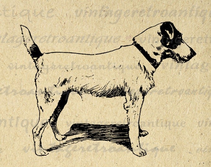 Printable Fox Terrier Digital Image Antique Dog Graphic Animal Pet Artwork Clipart Download Dog Antique Clip Art Jpg Png Eps HQ No.3735