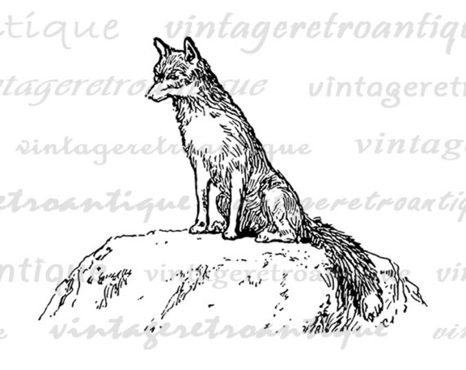 Printable Image Noble Fox Antique Graphic Digital Download Vintage Clip Art Jpg Png Eps HQ 300dpi No.502