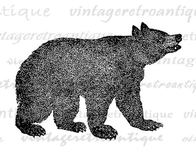 Printable Image Grizzly Bear Graphic Digital Animal Download Artwork Jpg Png Eps HQ 300dpi No.4108