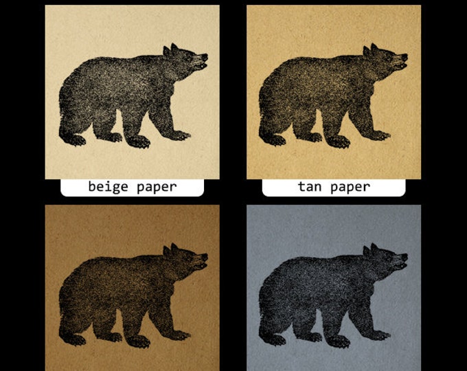 Printable Image Grizzly Bear Graphic Digital Animal Download Artwork Jpg Png Eps HQ 300dpi No.4108