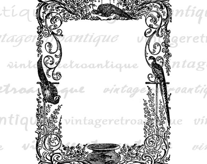 Digital Graphic Frame with Birds Download Image Design Illustration Printable Vintage Clip Art Jpg Png Eps HQ 300dpi No.3608