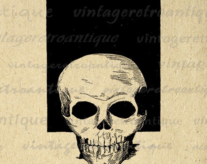 Skull Printable Graphic Download Image Skull Digital Artwork Jpg Png Eps HQ 300dpi No.4205